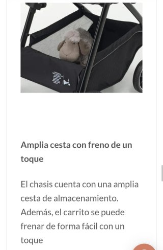 Carro Bebé Foppapedretti Divo Dúo