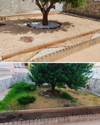 Jardínero particular