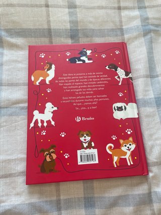 Historias heroicas de los perros más valientes ...