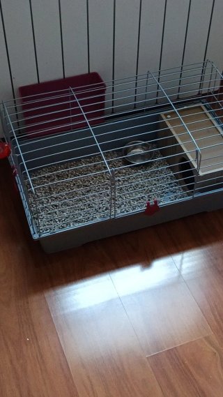 Jaula para conejo enano gris