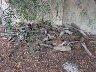 Leña para chimenea o barbacoa
