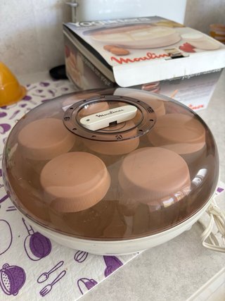 Yogurtera Moulinex