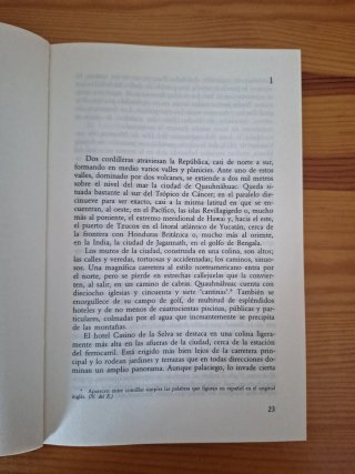 Bajo el volcán