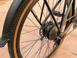 Fiido C21 Bicicleta Eléctrica Urbana