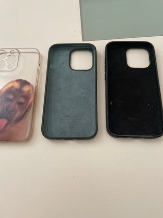 Fundas iPhone 13 Pro (Apple)