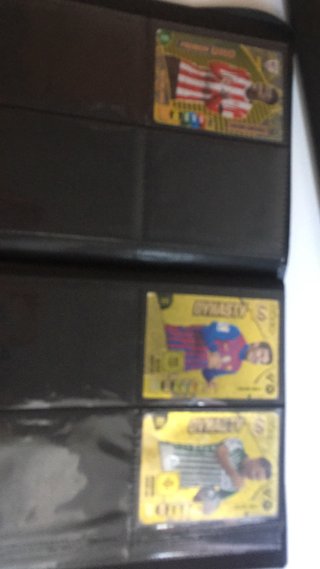 Álbum de cartas coleccionables