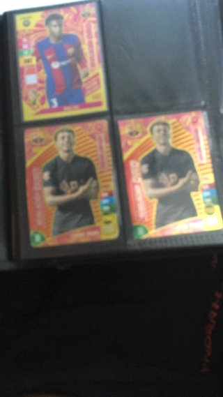 Álbum de cartas coleccionables