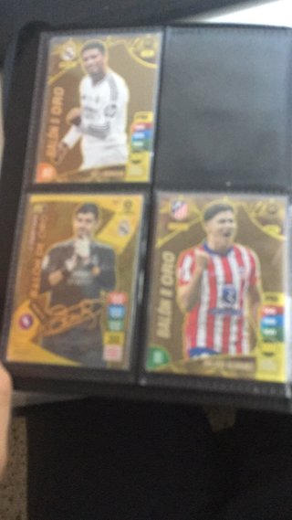 Álbum de cartas coleccionables