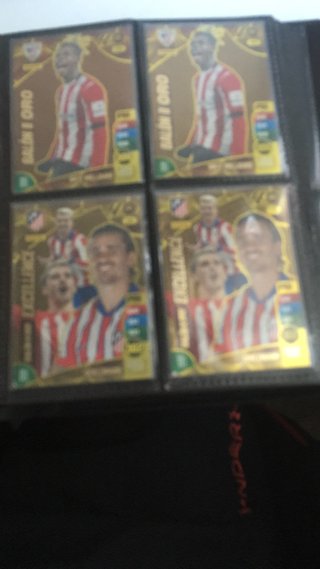 Álbum de cartas coleccionables