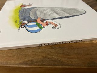Astérix, El combate de los jefes