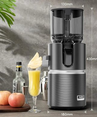 Extractor de Zumos Anybear 350W