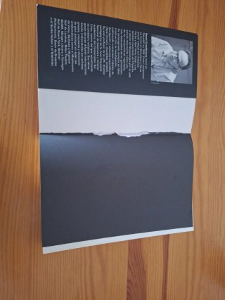 El humor en la música- rústica