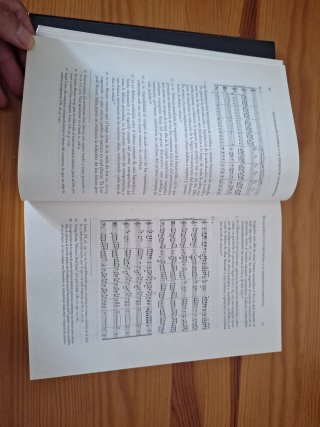 El humor en la música- rústica