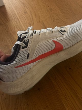 Nike Air Zoom Pegasus 40