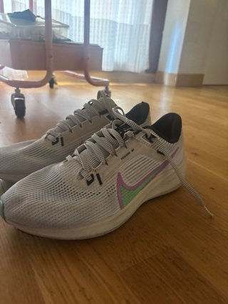 Nike Air Zoom Pegasus 40