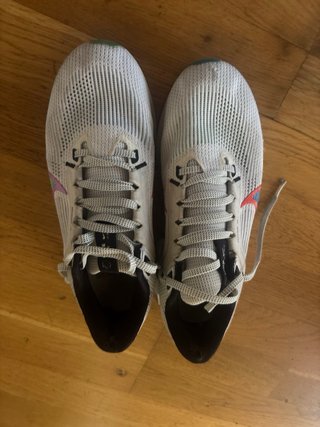 Nike Air Zoom Pegasus 40