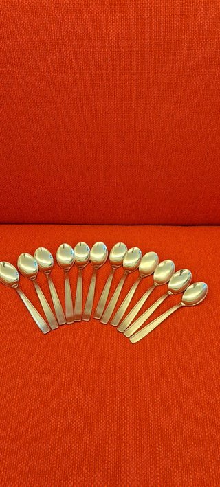 Set posate 12 pz + paletta torta + palette