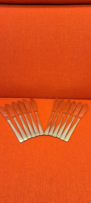 Set posate 12 pz + paletta torta + palette