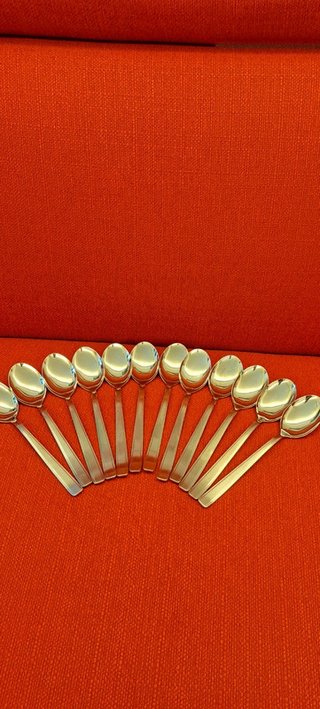 Set posate 12 pz + paletta torta + palette