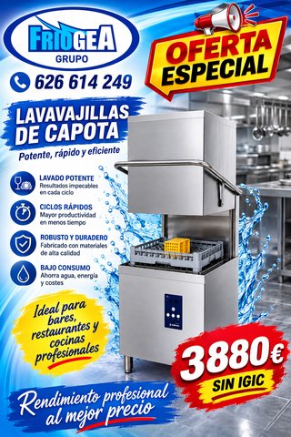 LAVAVAJILLAS PROFESIONALES