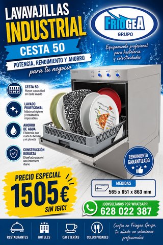 LAVAVAJILLAS PROFESIONALES