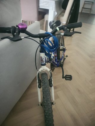 Bicicleta infantil 20 pulgadas