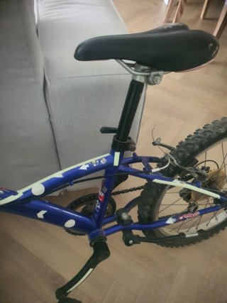 Bicicleta infantil 20 pulgadas