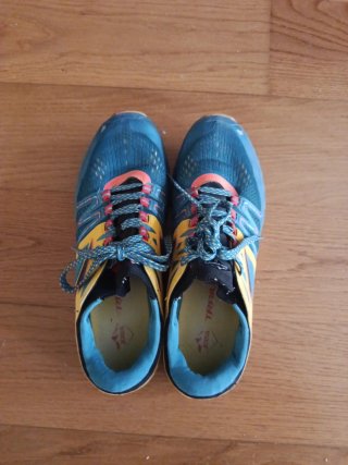 Zapatillas deportivas azules y amarillas