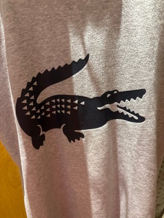 Camiseta Lacoste Talla 16 Gris Cocodrilo
