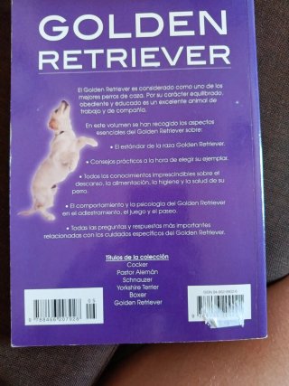 Golden retriever historia, higiene, alimentació...