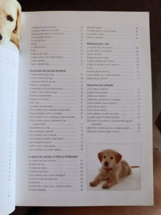 Golden retriever historia, higiene, alimentació...