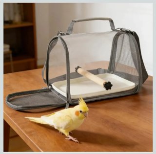 Transportín para Loro Transparente