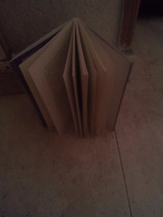 Mini libro relato corto de la boda de la asistenta