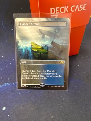 Magic The Gathering: Flooded Strand Playa anegada