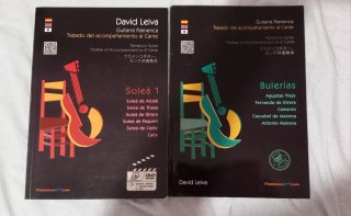 DVD Flamenco Guitarra David Leiva Soleá y Bulerías