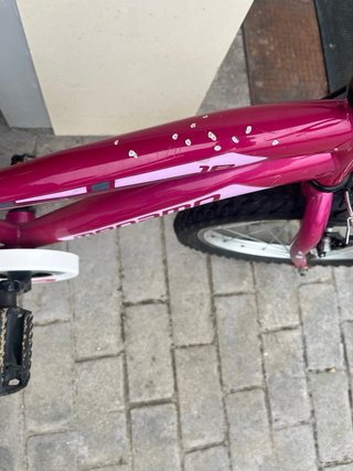 Bicicleta infantil 18 pulgadas rosa