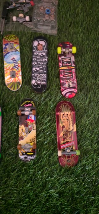 Lote de 10 Skateboards y Rampas