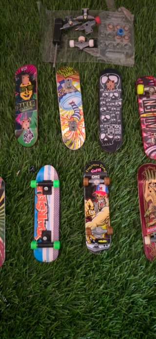 Lote de 10 Skateboards y Rampas