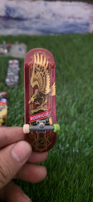 Lote de 10 Skateboards y Rampas
