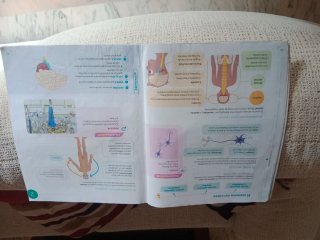 Conocimiento del medio 5 Primaria : Proyecto Co...