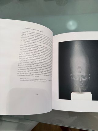 Libro faraon rey de egipto