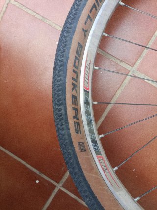 Rueda Bicicleta Schwalbe Billy Bonkers 29