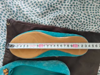 Bailarinas Gucci ante Bambú Talla 37 (Muestrario)