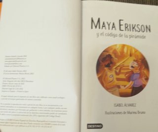Libros Maya Erikson  y el código de la piramide.