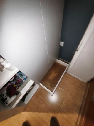 Cama alta con escritorio y estanterías