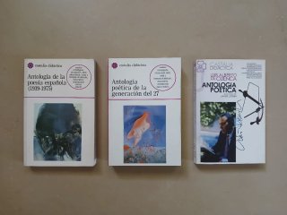 Poesía de editorial Castalia