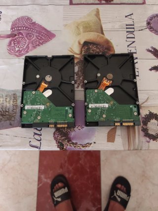 2x Discos Duros Western Digital 640GB