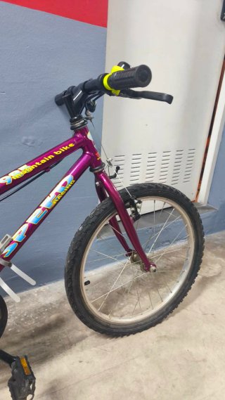 Bicicleta Morada Speed Montaña