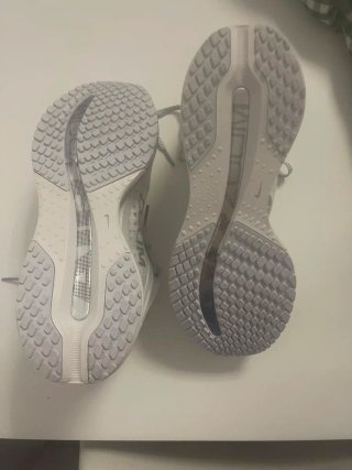 Nike Pegasus Premium Gris/Blanco
