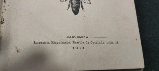 Apicultura Movilista 1903